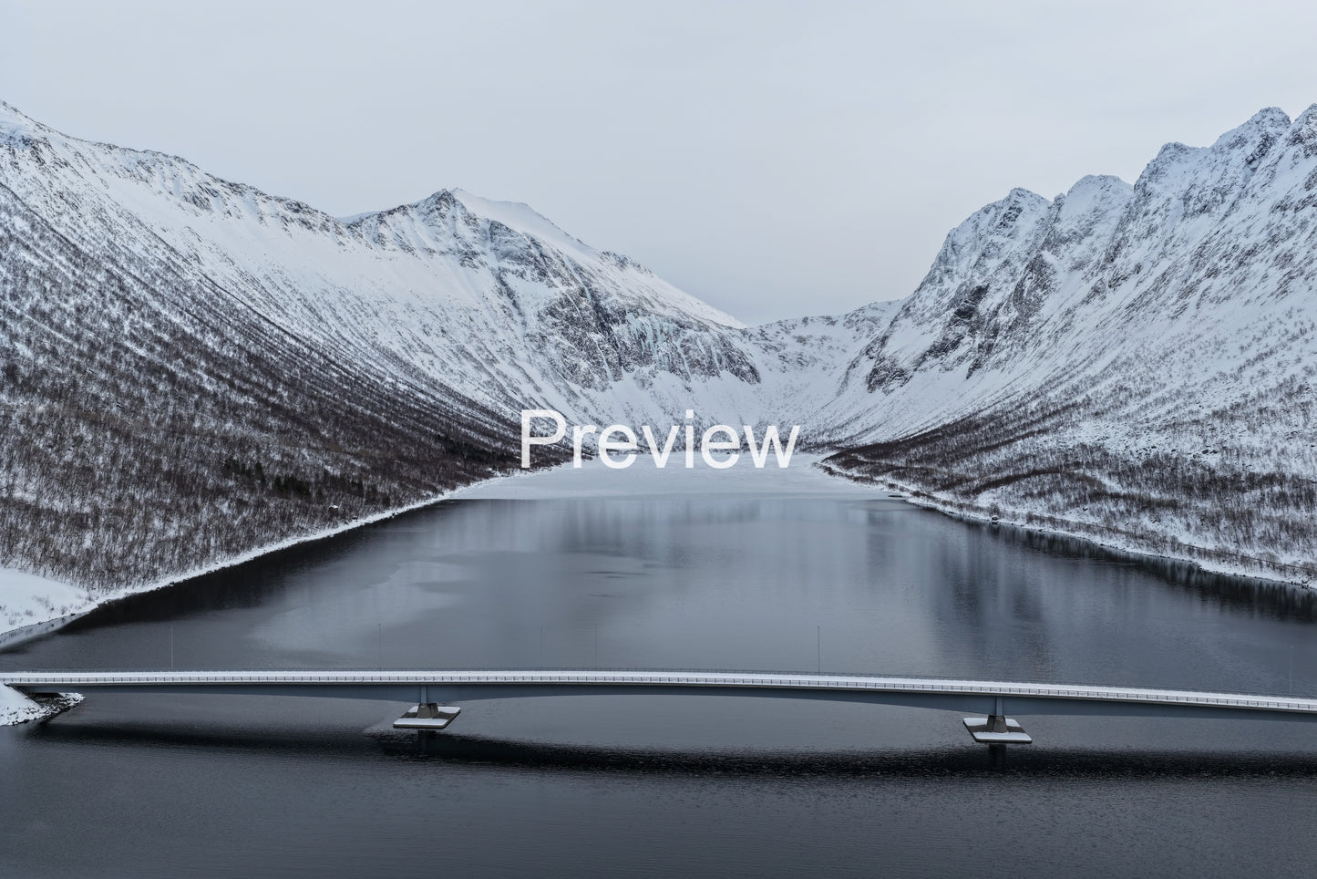 Winter Bridge 3