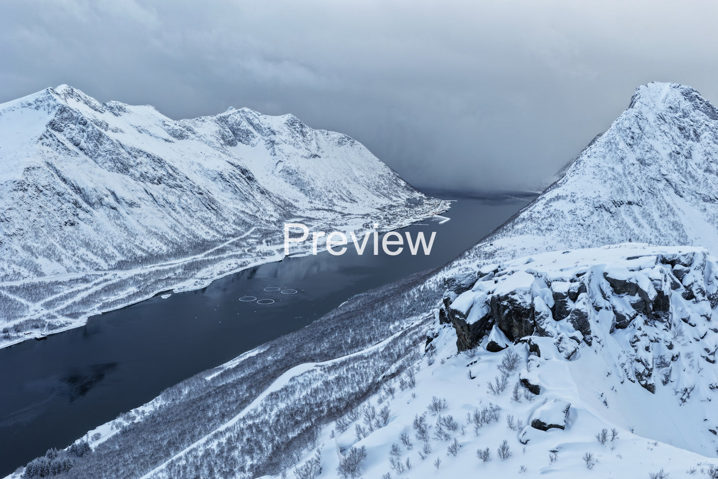 Snow Is Coming