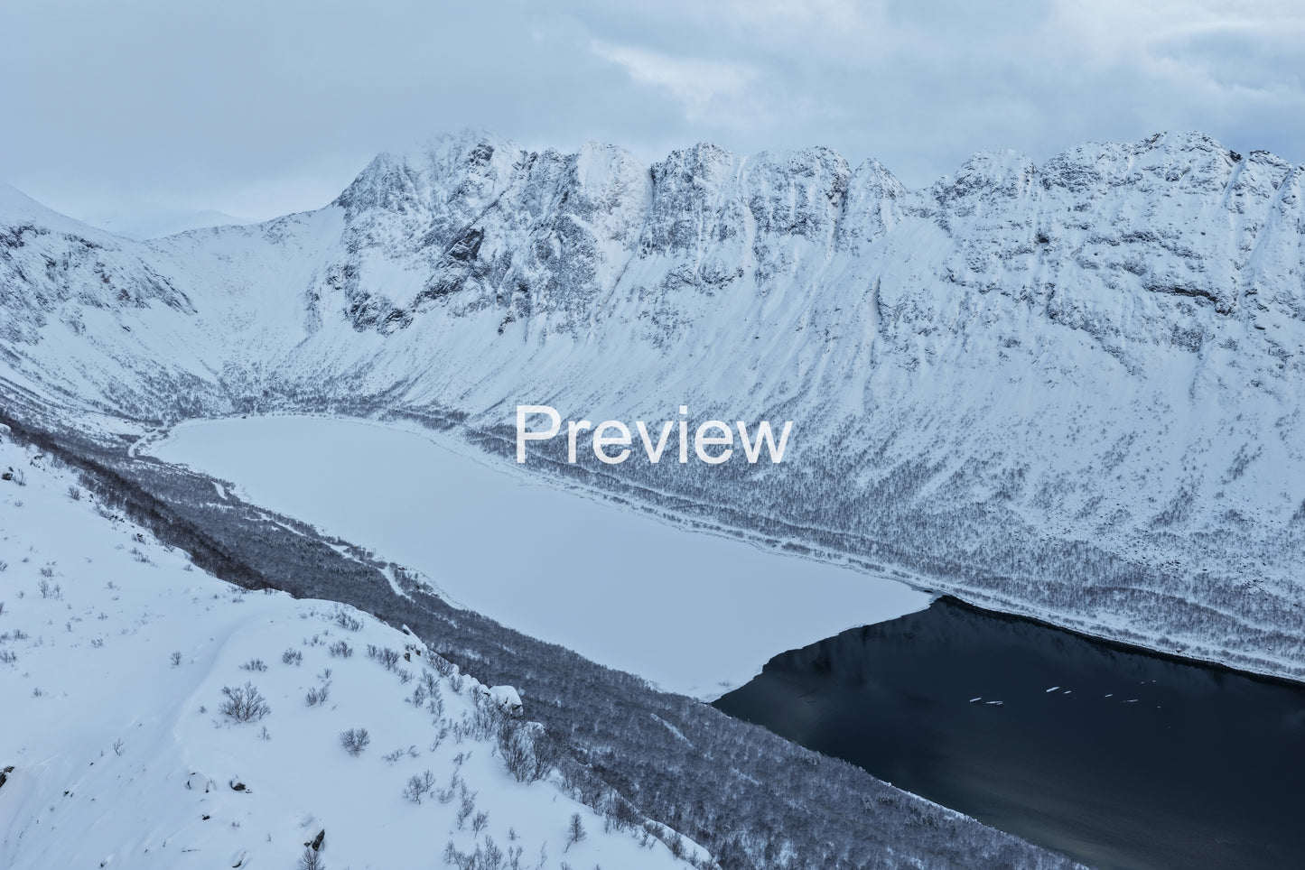 Icy Fjord 2