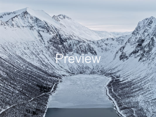 Icy Fjord