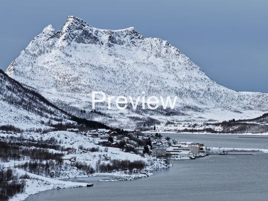 Arctic Urbanity