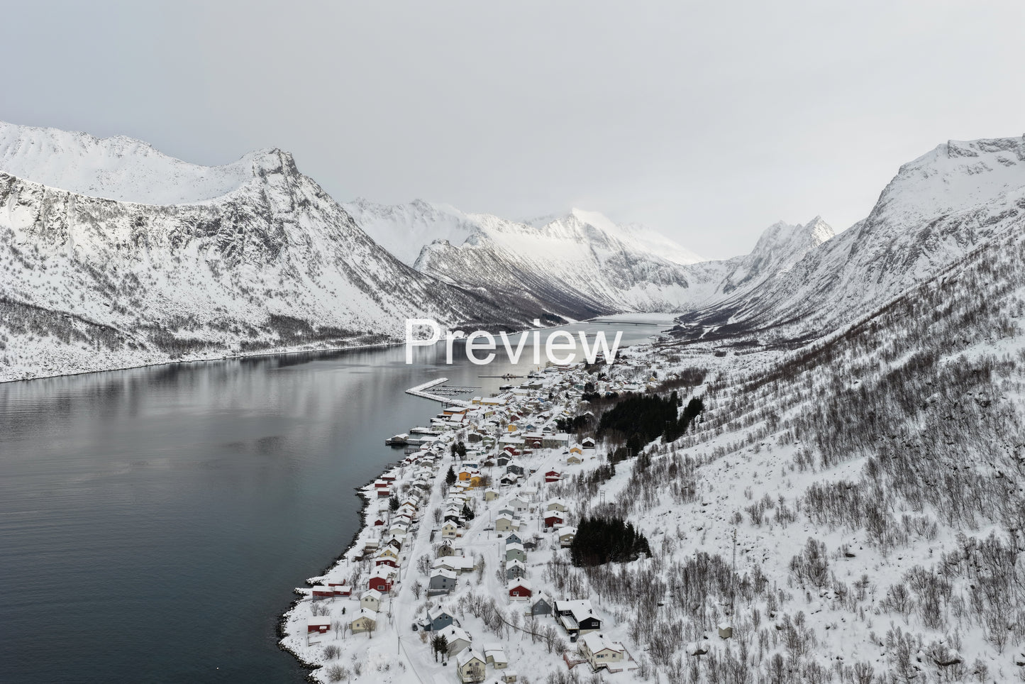 Winter Village