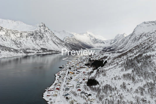 Winter Village