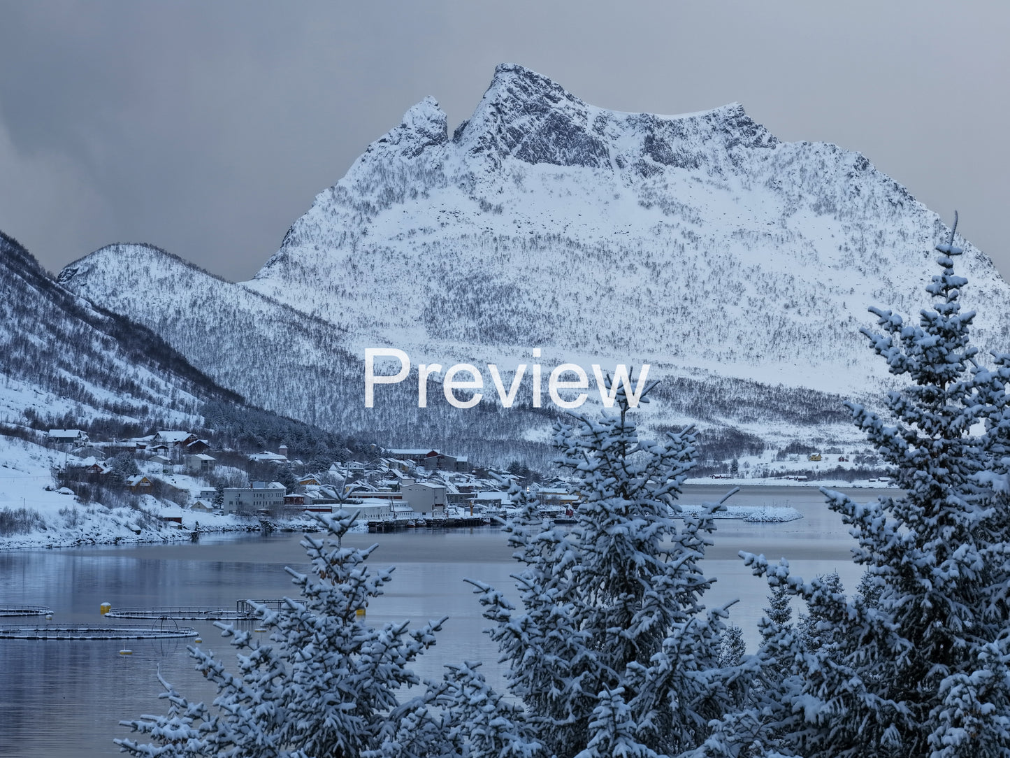 Winter village in the fjord