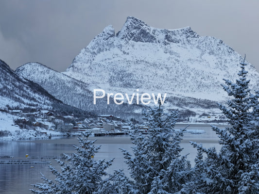 Winter village in the fjord