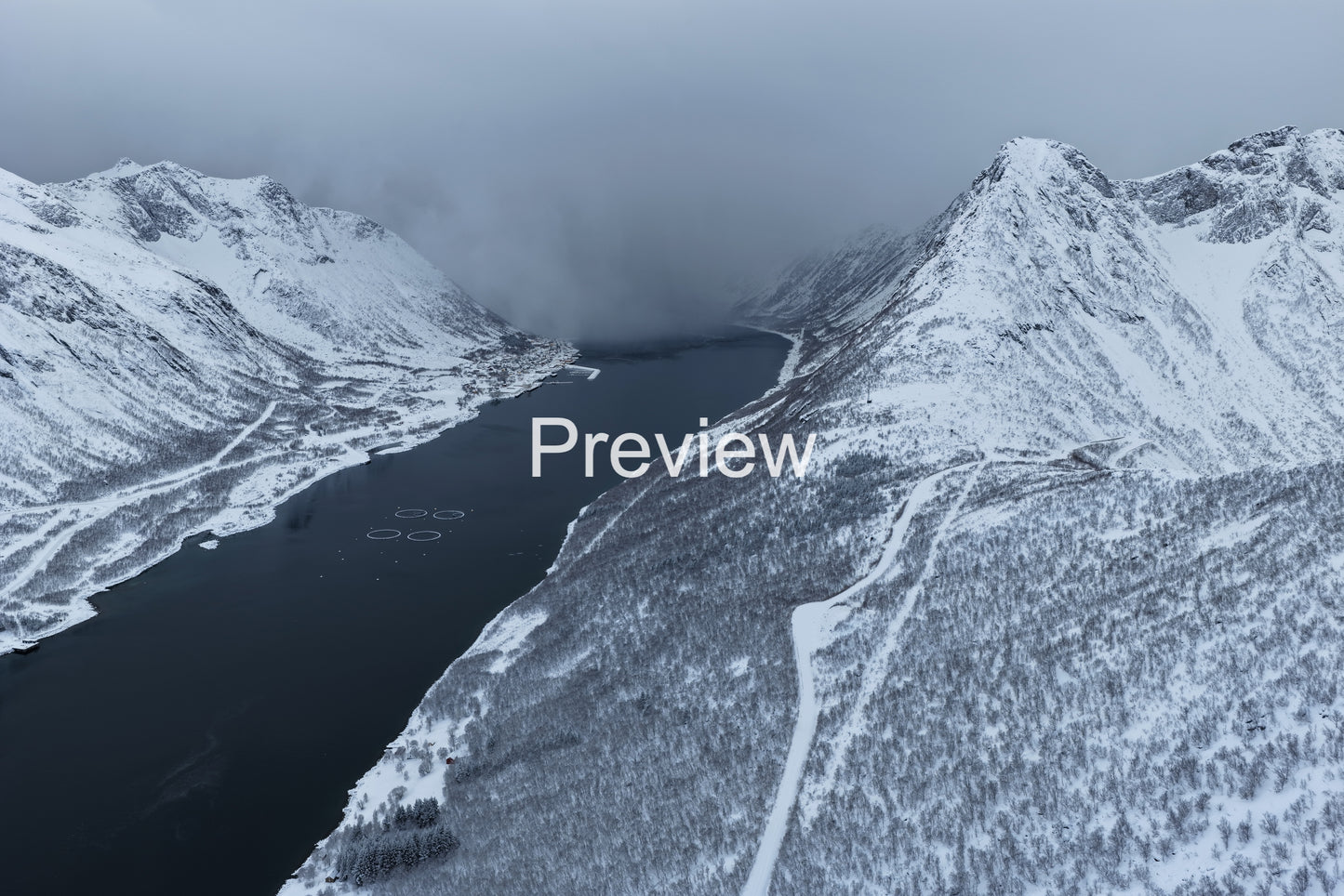 The Wall of Snow 4