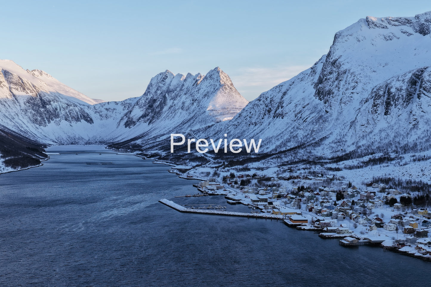 The Frozen Village