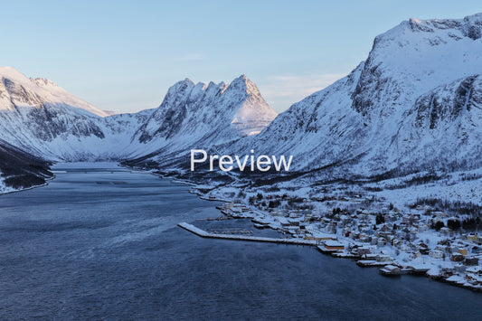 The Frozen Village